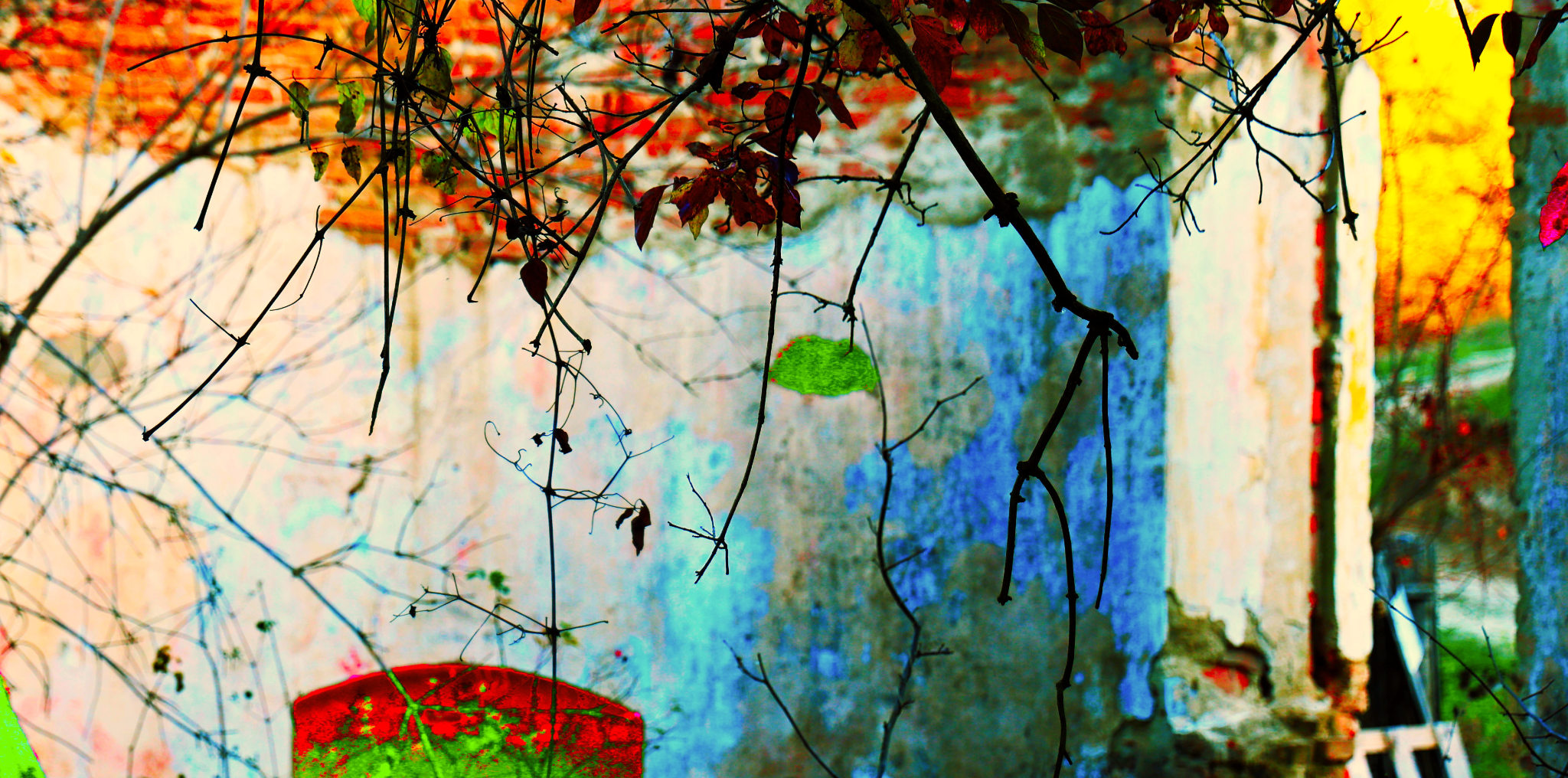 Texture By Nature